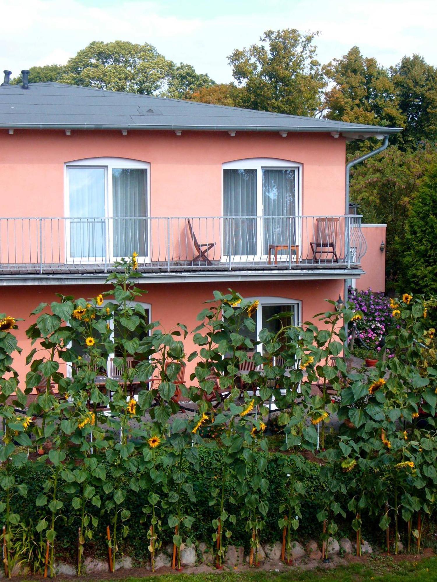 Pension Waldeck Гьорен Екстериор снимка